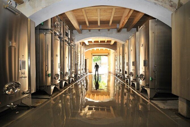 Full-Day Wine Tour around Luberon from Marseille - FAQ