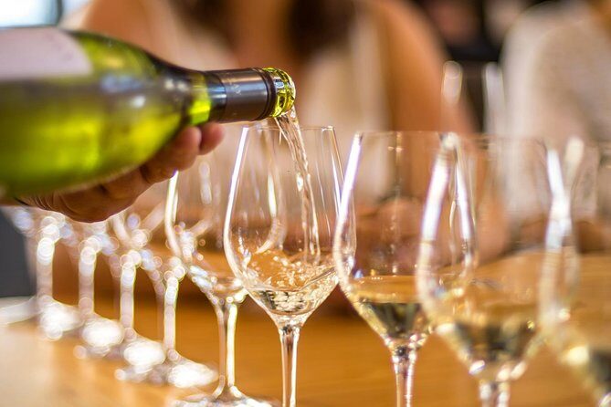 Full-Day Wine Tour from Blenheim - Who Should Consider This Tour?