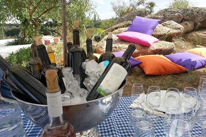 Full-Day Wine Tour from Istanbul - The Daily Itinerary: What to Expect