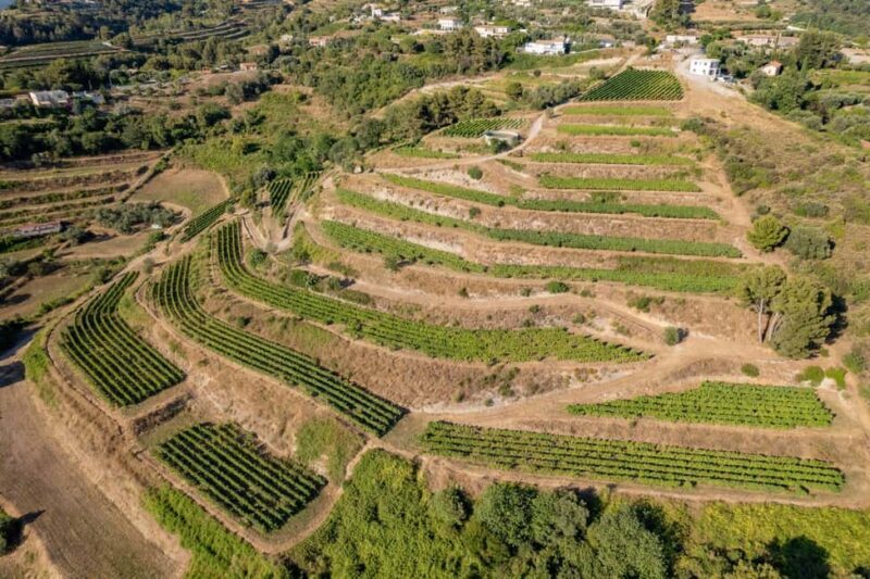 Full-Day Wine Tour in Bellet & Saint-Paul de Vence From Nice - Transportation and Group Size