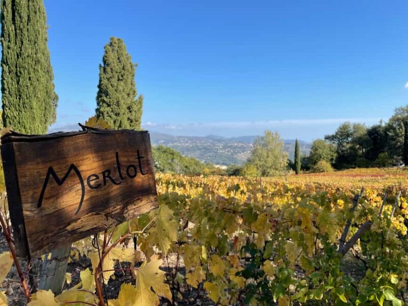 Full-Day Wine Tour in Bellet & Saint-Paul de Vence From Nice - Value and Cost Analysis
