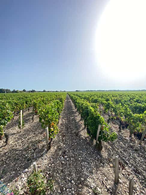 Full Day Wine tour in saint emilion & Margaux - Who Will Love This Tour?
