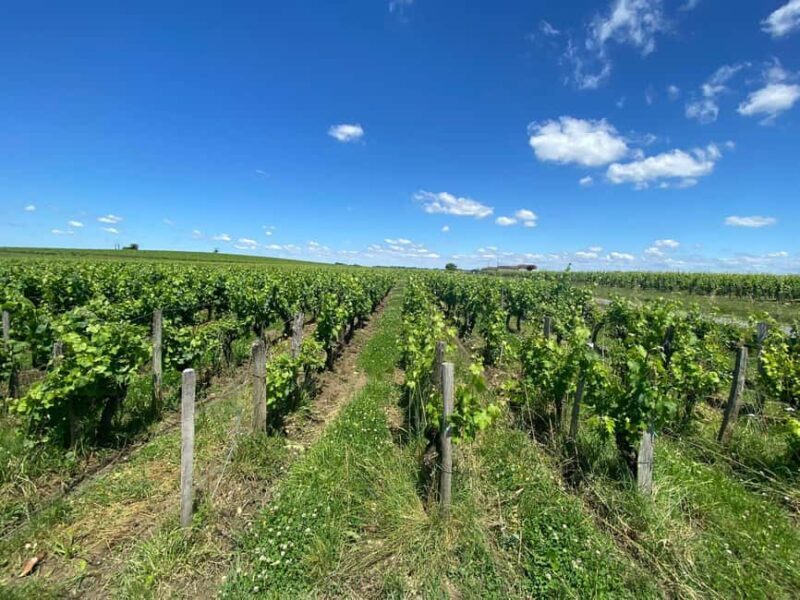 Full Day Wine tour in saint emilion & Margaux - Frequently Asked Questions