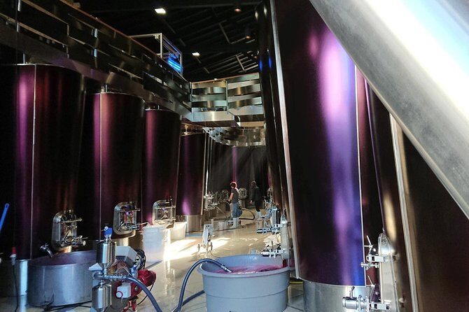 Full-day wine tour in Saint-Emilion (Premium Sedan) - Why This Tour Offers Great Value