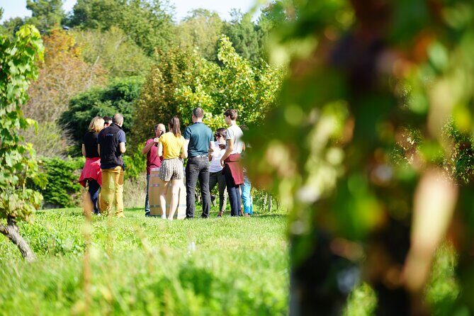 Full Day Wine Tour in Vouvray and Chinon with LUNCH at the winery - Who Is This Tour Best For?