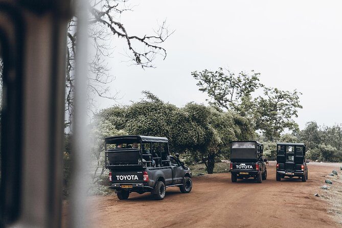 Full Day Yala Safari with Picnic Lunch from Hambantota Harbour - The Authenticity and Value of the Tour