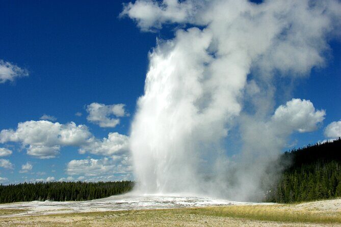 Full Day Yellowstone Lower Loop and Safari from Jackson Hole - Who Should Consider This Tour?