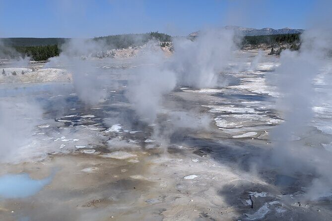 Full-Day Yellowstone Upper (Northern) Loop Tour - The Sum Up