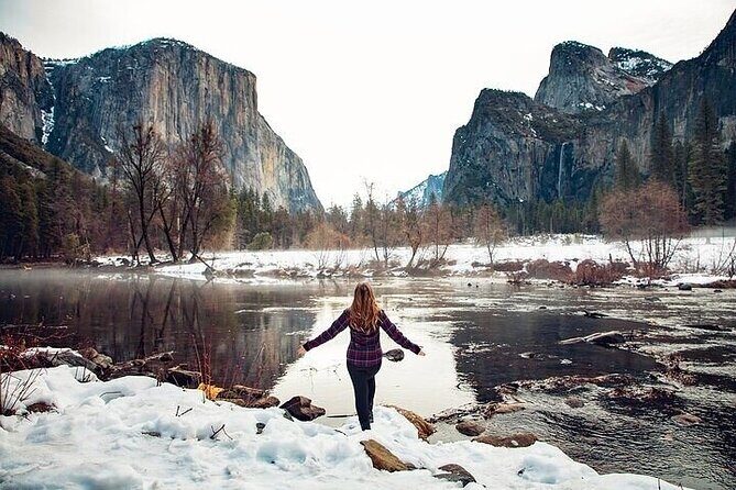 Full Day Yosemite National Park Tour from Oakland - Transportation & Comfort
