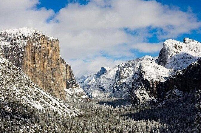 Full Day Yosemite National Park Tour from Oakland - Guided Experience