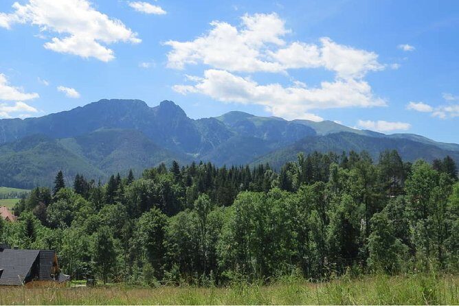 Full-Day Zakopane and Slovakia Treetop Walk From Krakow - What to Expect from the Tour