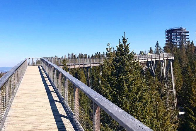 Full-Day Zakopane and Slovakia Treetop Walk From Krakow - FAQs