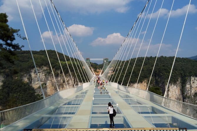 Full-Day Zhangjiajie National Forest Park Tour - Analyzing the Price and Overall Value