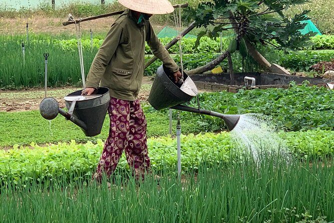 Full Experience Tour: Cooking Class & Basket Boat at Eco-Village - FAQ