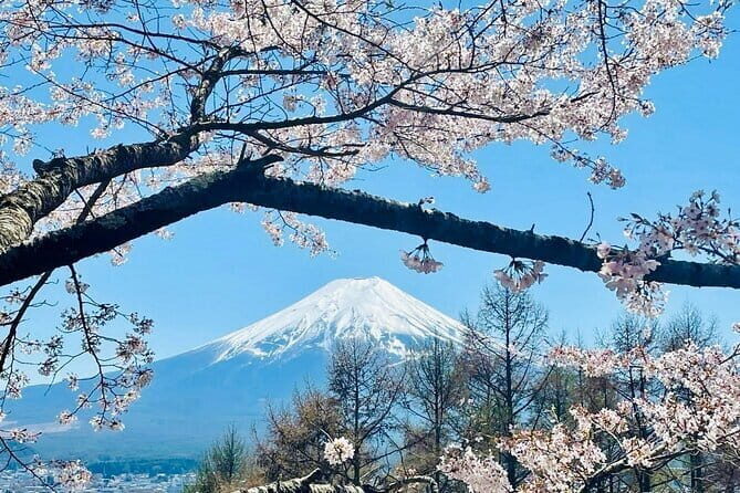 Full Guided Mt. Fuji & Hakone Attractive Private Day Tour - A Deep Dive into the Experience