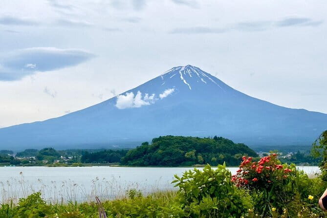 Full Guided Mt. Fuji & Shiba-Sakura Festival One Day Pvt.Tour - Transportation & Guide Experience