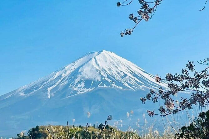Full Guided Mt. Fuji & Shiba-Sakura Festival One Day Pvt.Tour - Who Is This Tour Best For?