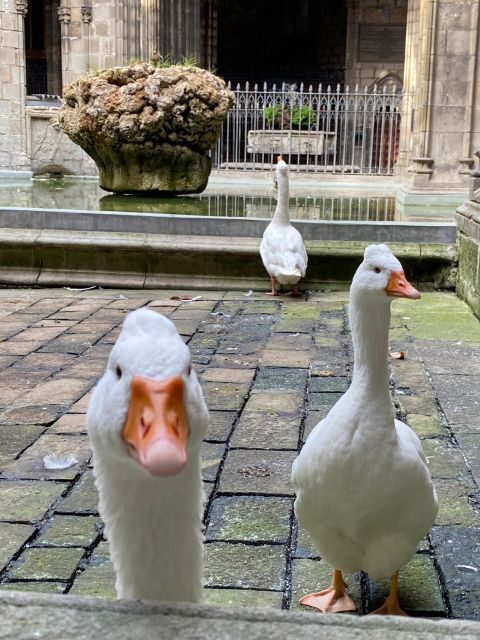 Full/Half day Barcelona highlights with entrances & Tasting - Exploring the Highlights: A Deep Dive into the Tour