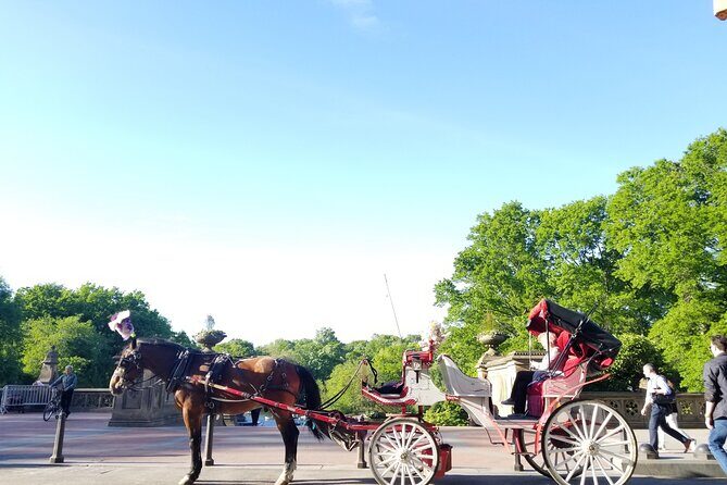 Full loop Private Horse Carriage Ride in Central Park 45 Minutes - A Detailed Look at the Full Loop Horse Carriage Ride in Central Park