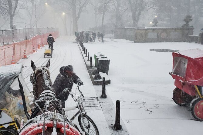 Full loop Private Horse Carriage Ride in Central Park 45 Minutes - FAQs
