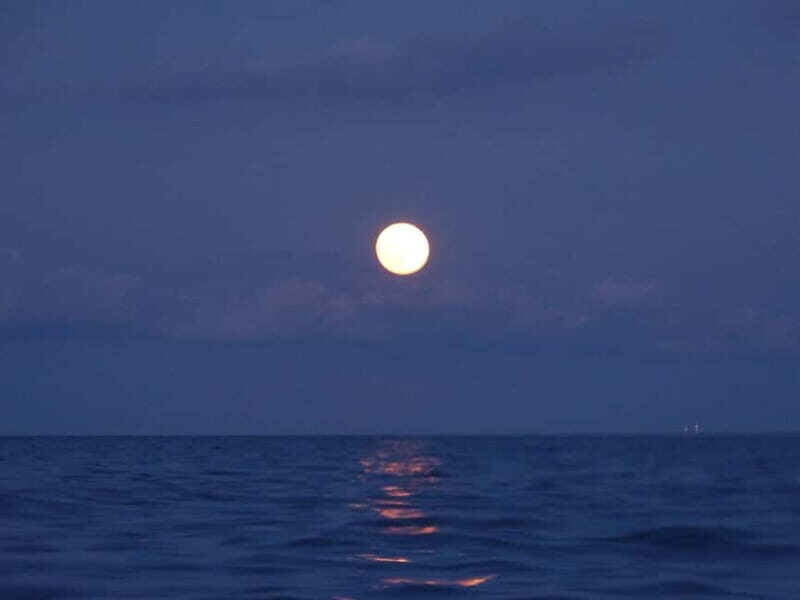 FULL MOON Boat Experience (OpenBar+Local Tapa included) - Key Points