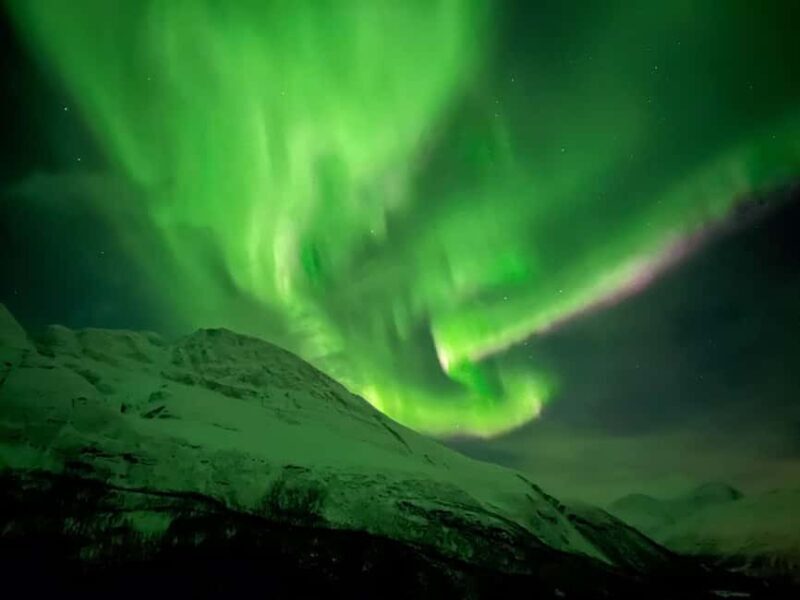 Full Night Magic of the Northern Lights in Tromso - Who Would Love This Tour?