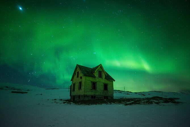 Full Night Magic of the Northern Lights in Tromso - Exploring the Experience: What to Expect from the Tour