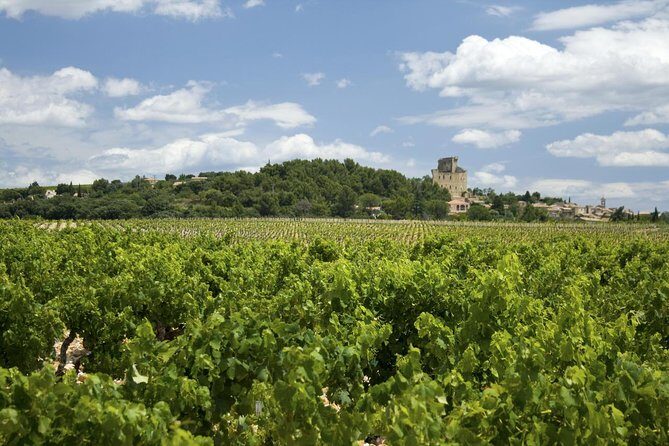 Full private day Avignon Chateuneuf du pape wine tasting - In-Depth Look at the Tour Experience