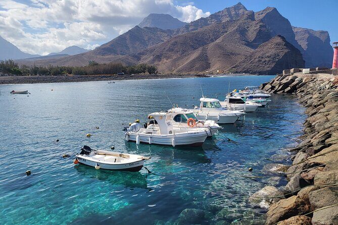 Full Private Tour of Gran Canaria with Natural Pools - Practical Details and What to Expect