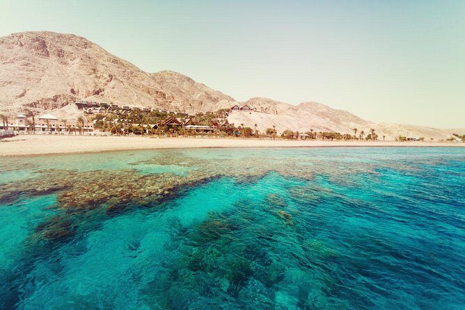 Full Relaxing Day To The Red Sea From Cairo Or Giza Hotel - Final thoughts