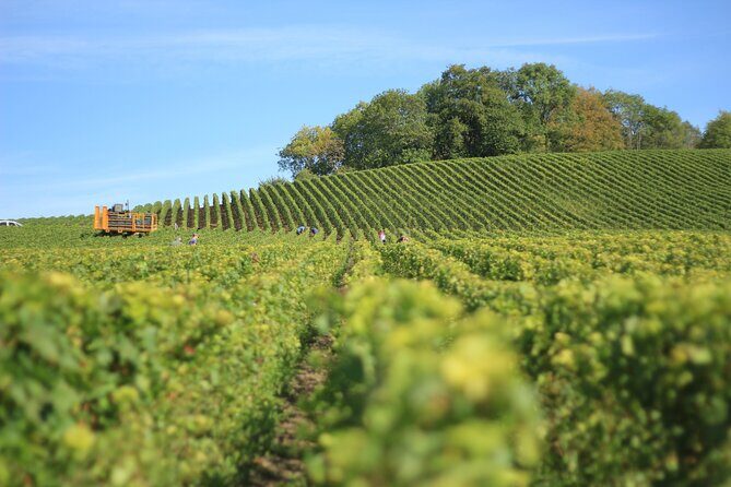 Full Rioja Wine Tour with Lunch from Bilbao Private Tour - Exploring the Full Rioja Wine Tour with Lunch from Bilbao