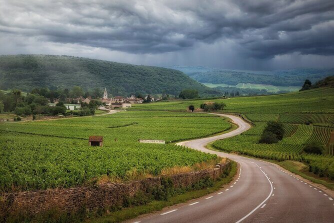 Full Rioja Wine Tour with Lunch from Bilbao Private Tour - A Deep Dive into the Rioja Experience