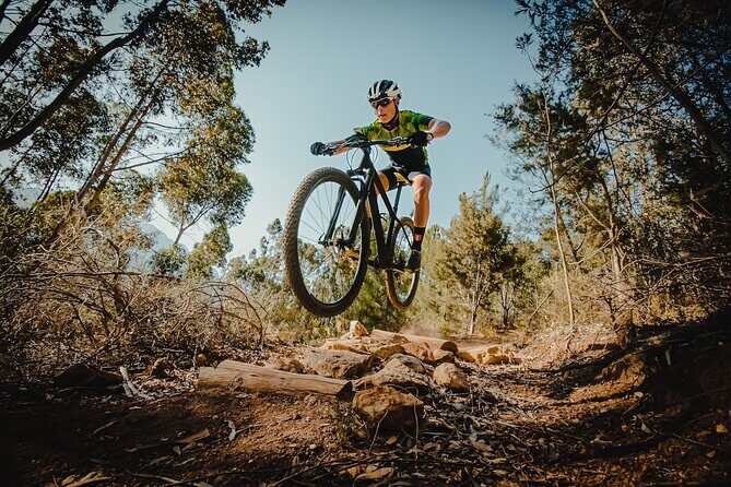 Full Suspension Mountain Bike Rental in Breckenridge - Introduction: An Exciting Way to Conquer Breckenridge’s Trails