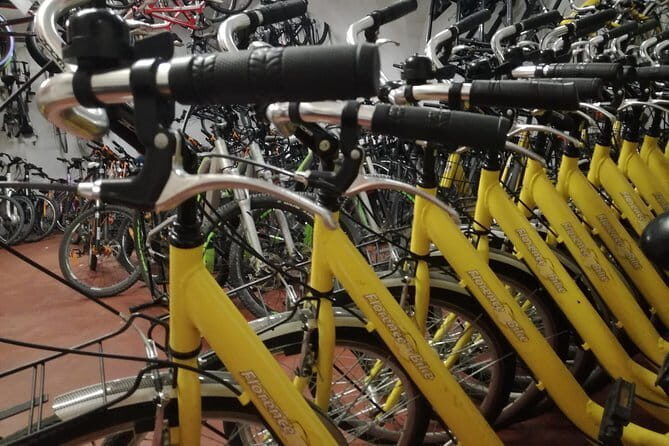 Fully equipped city bike to discover Florence - 1 day rental - What You’ll See and How You’ll Ride