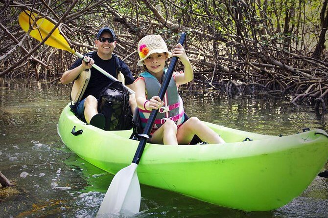 Fully Guided Kayaking Backwater Manatee and Dolphin Tour - The Practical Side: Pricing, Group Size, and Booking