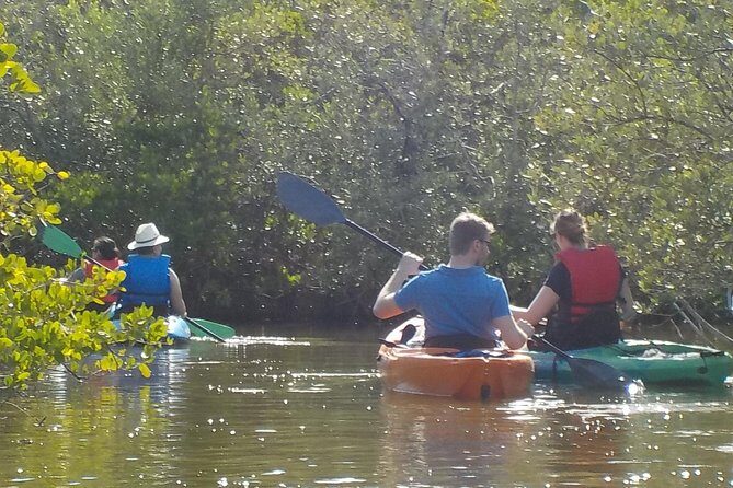 Fully Guided Kayaking Backwater Manatee and Dolphin Tour - Who Will Enjoy This Tour?