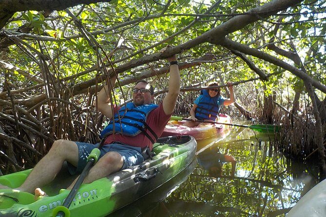 Fully Guided Kayaking Backwater Manatee and Dolphin Tour - FAQ