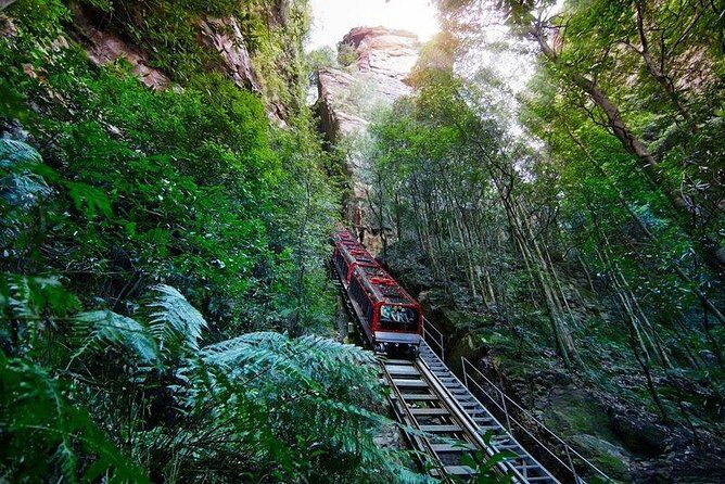 Fully Inclusive Blue Mountains Private Tour inc Scenic World & Featherdale Entry - How the Experience Comes Together