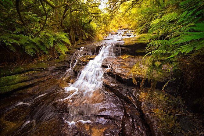 Fully Inclusive Blue Mountains Private Tour inc Scenic World & Featherdale Entry - The Value of This Tour