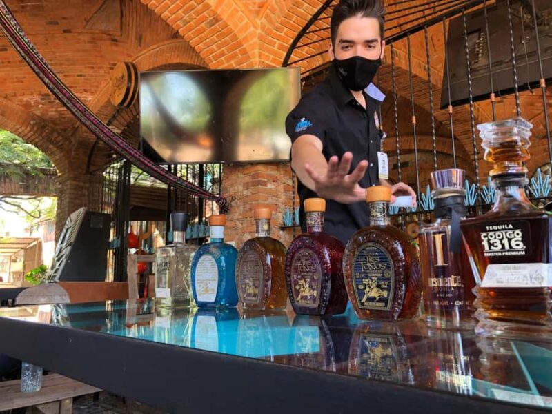 Fully-Private Half-Day Tequila Tour - The Practicalities: Logistics, Value, and Comfort