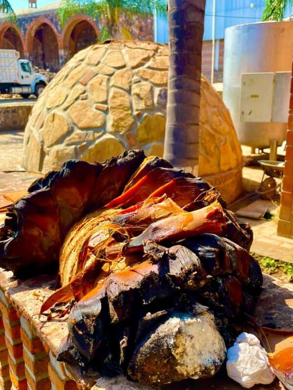 Fully-Private Half-Day Tequila Tour - Who Will Love This Tour?