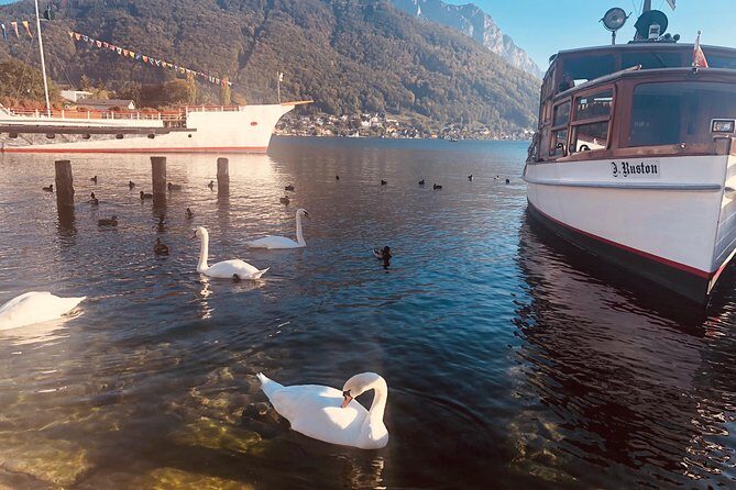 Fully private - SALZBURG, HALLSTATT & MELK ABBEY! - Who Will Love This Tour?