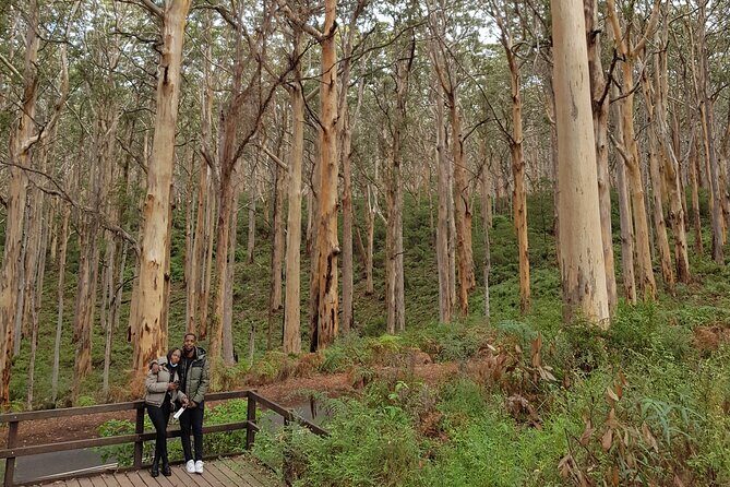 Fully Tailored Private Bespoke Tour of Margaret River - Introduction: What Makes This Tour Stand Out