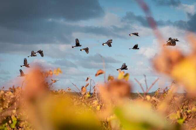 Fully Tailored Private Bespoke Tour of Margaret River - Who Should Book This Tour?