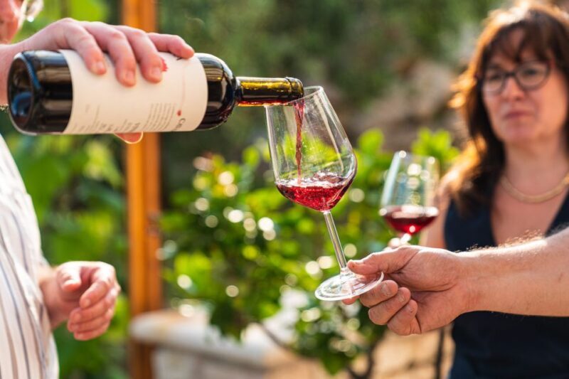 Fumane: Valpolicella Wine and Food Tasting with Farm Tour - Reviews and What Guests Say