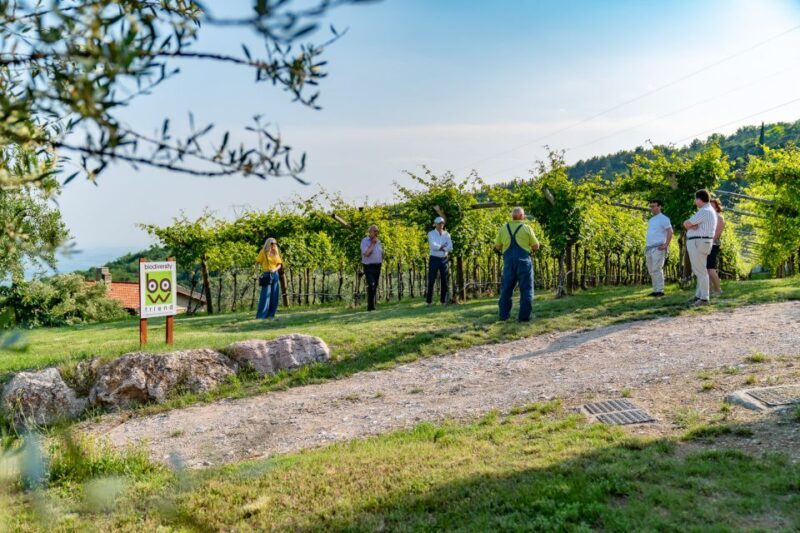 Fumane: Valpolicella Wine and Food Tasting with Farm Tour - The Sum Up