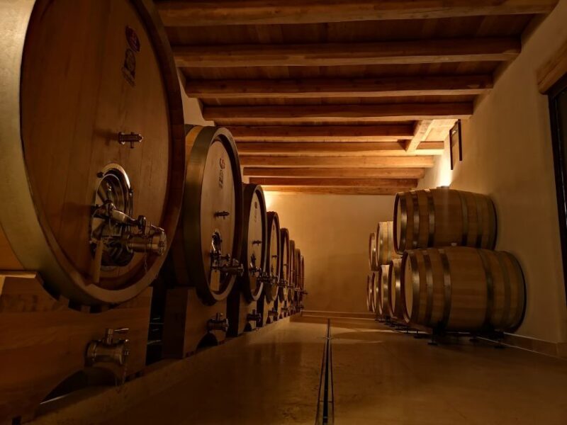 Fumane: Wine Tasting Experience in Valpolicella Valley - The Sum Up