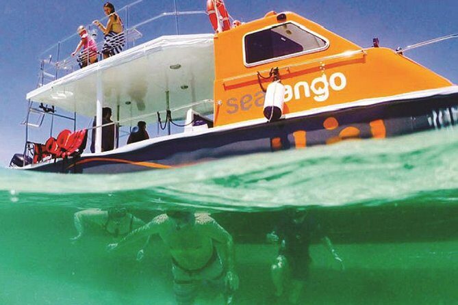 Fun Boat Snorkeling and Island Visit from Kota Kinabalu - The Practical Side: What You Need to Know
