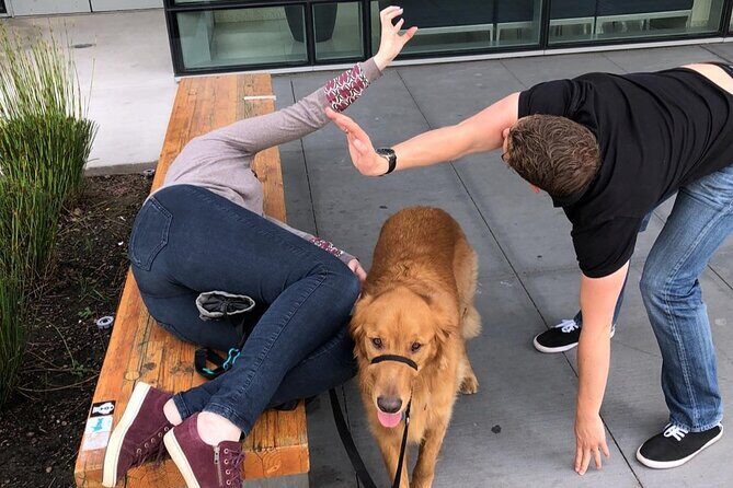 Fun City Scavenger Hunt in Temecula by 3Quest Challenge - Practical Details and Tips