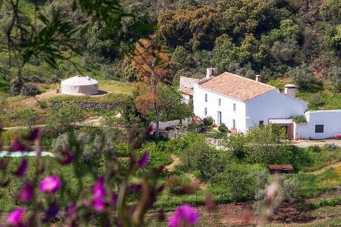 Fun Cooking Class - Tasty Andalusian Tapas - Starting Point and Arrival